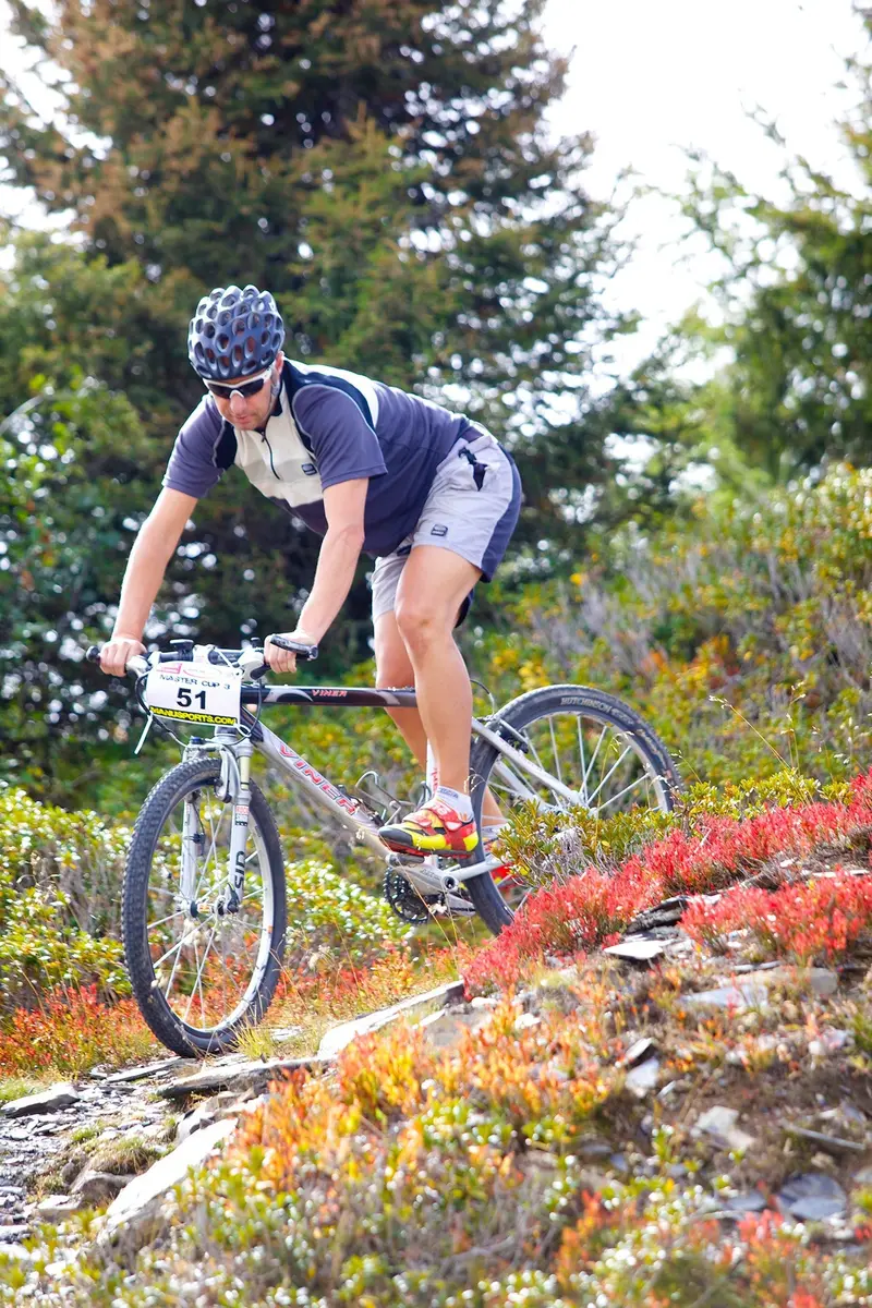 VTT