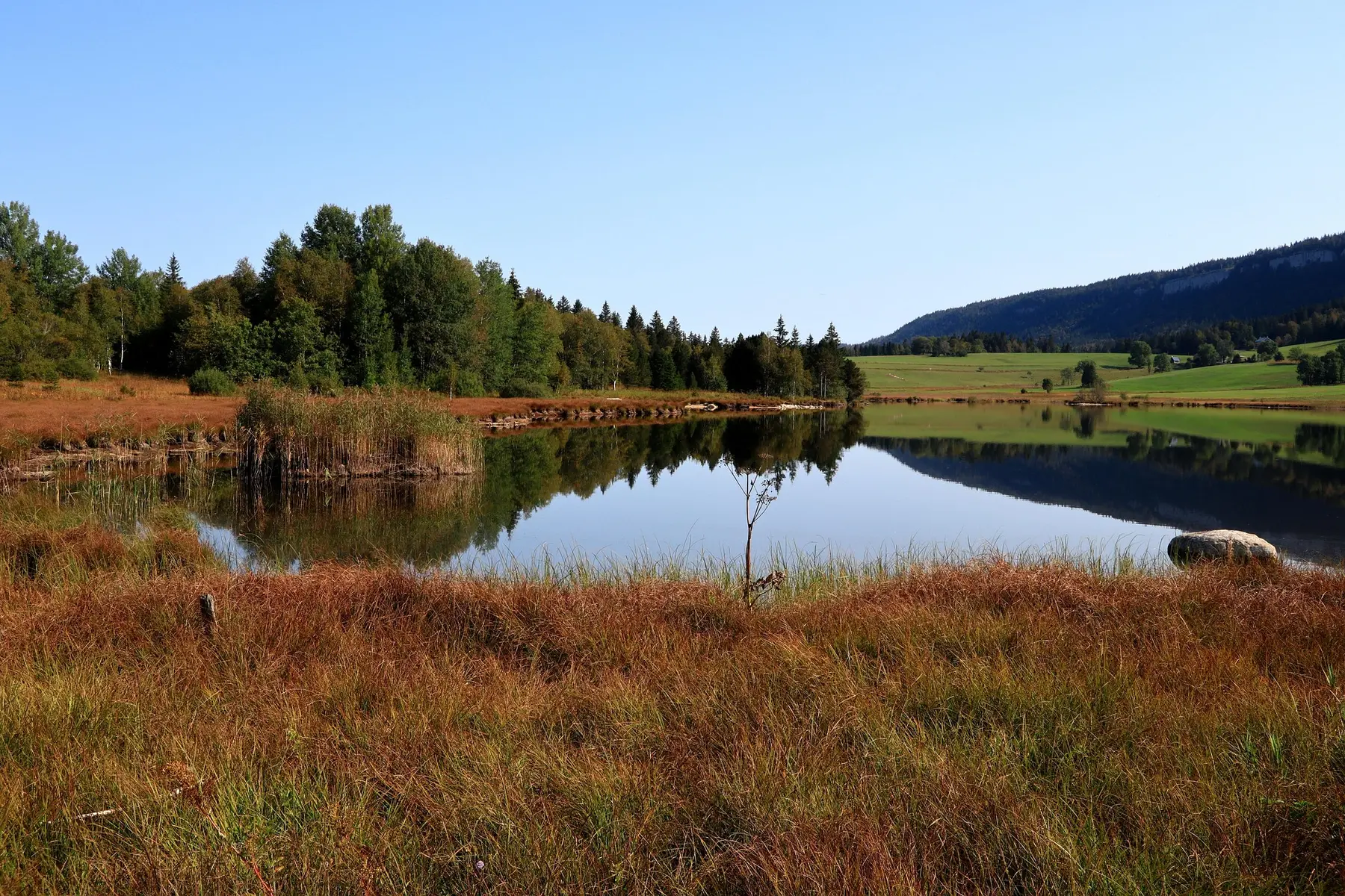 rauschenberger-lake-5577094_1920