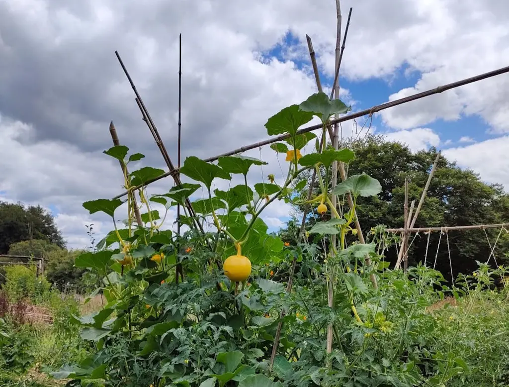 Initiez vous à la permaculture