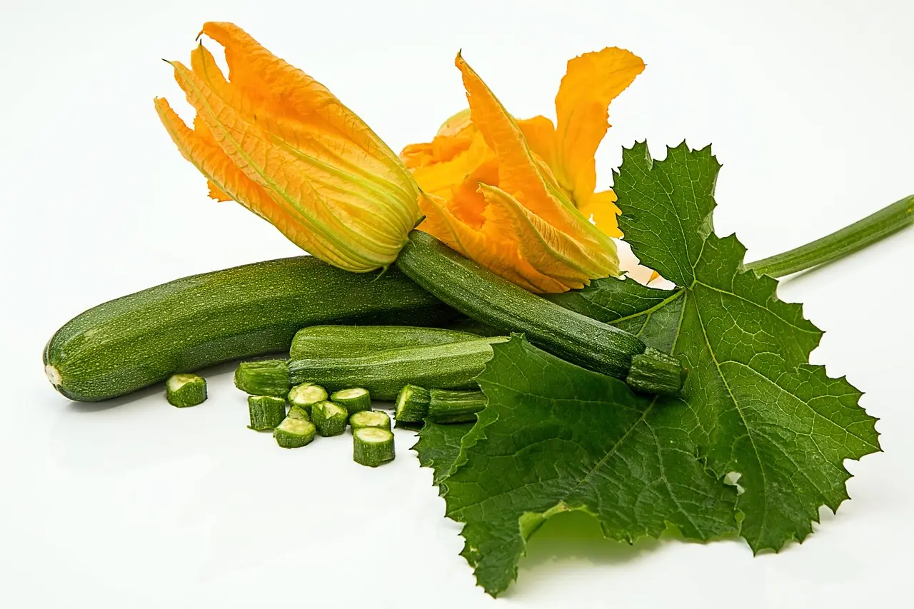 stevepb-zucchini-