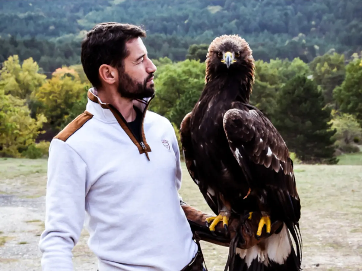 -cyril-orliac-fauconnerie (2)