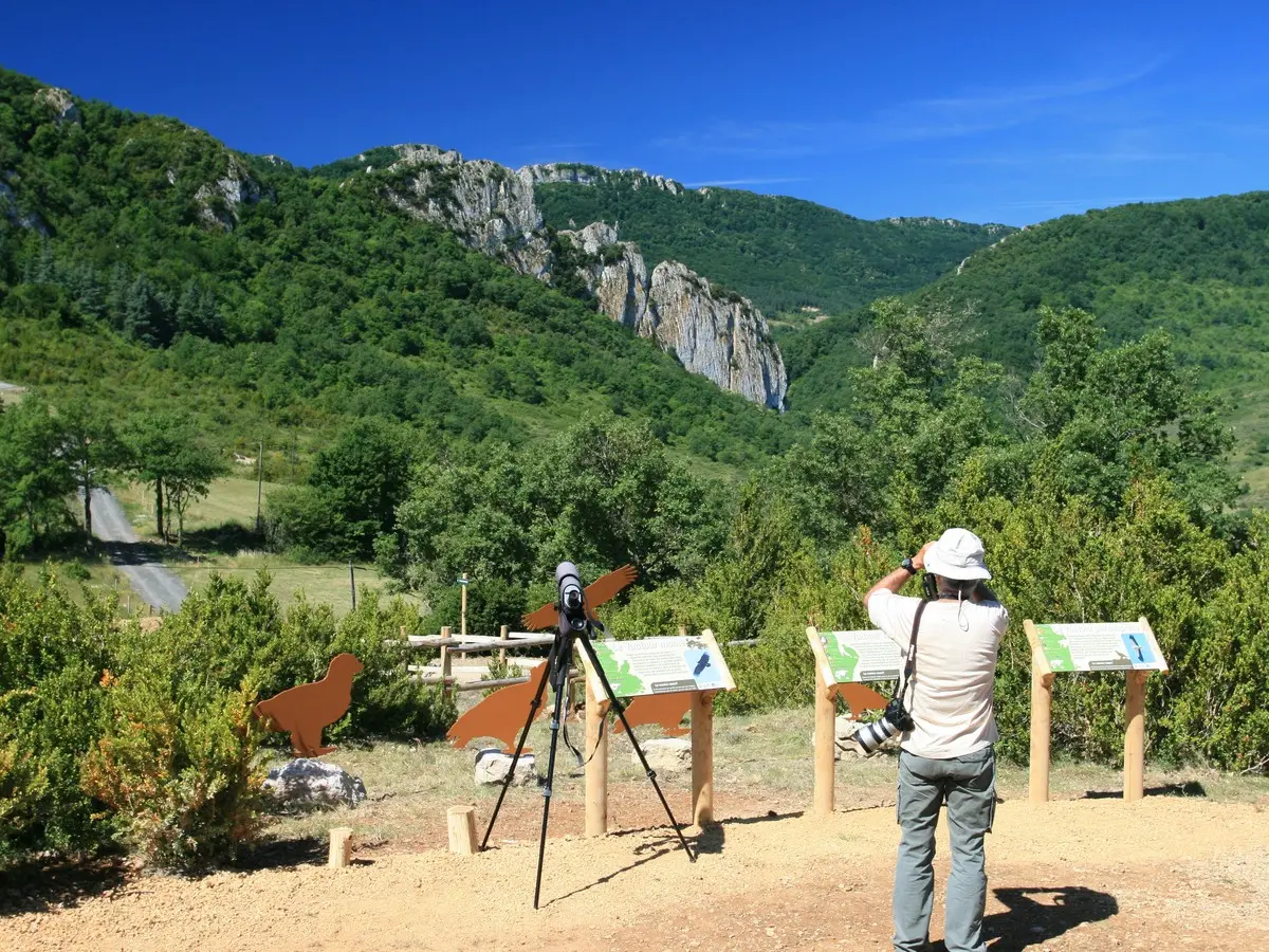 Observatoire des vautours