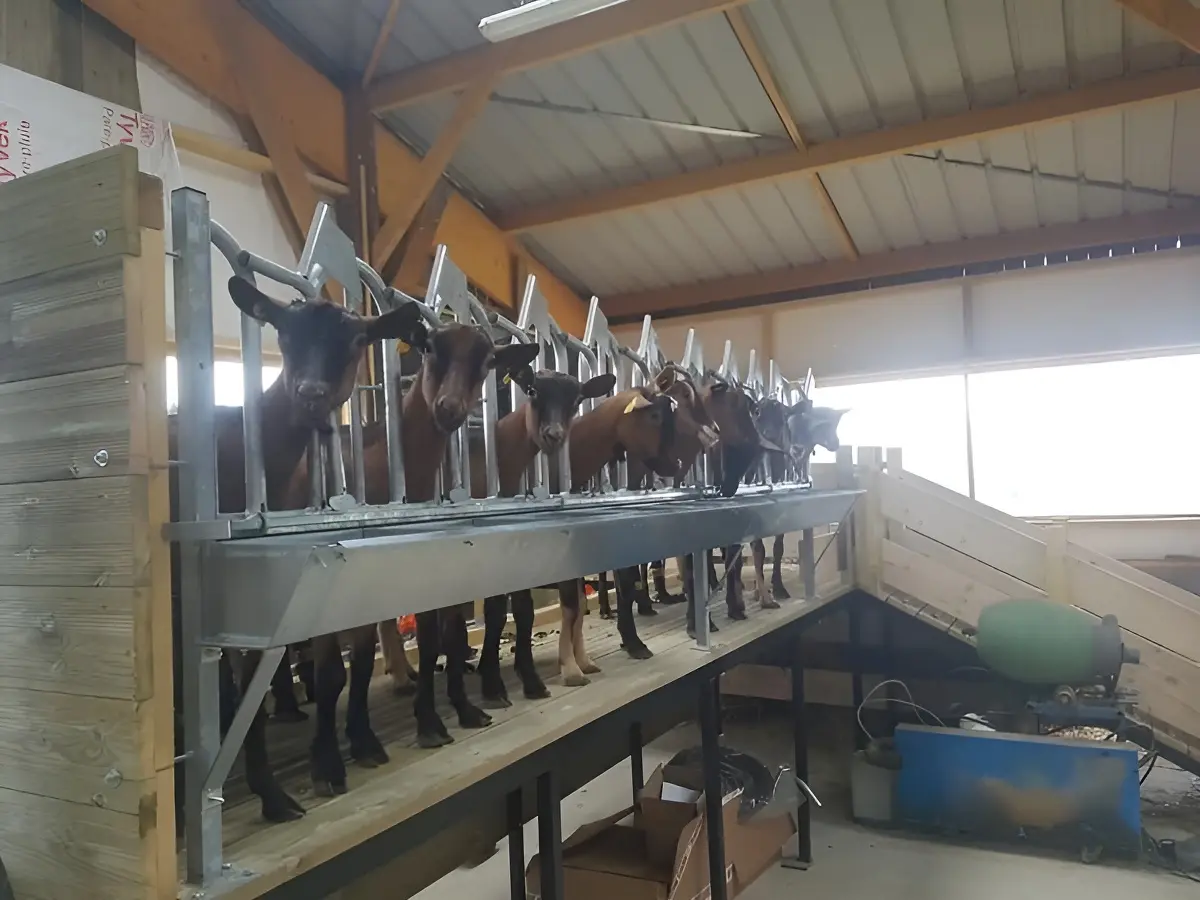 Ferme-Chevriere-MesnilEudes-interieur