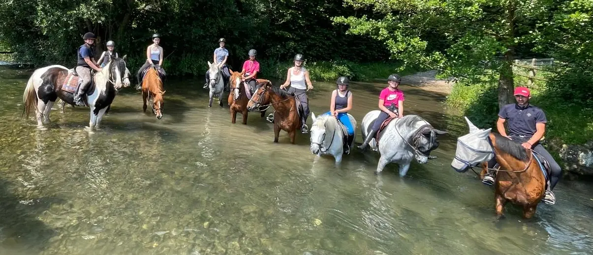 Balade Ecurie Optimum Horses