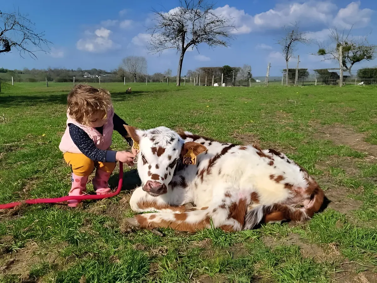 dans la peau dun soigneur les petits sabots de loudon