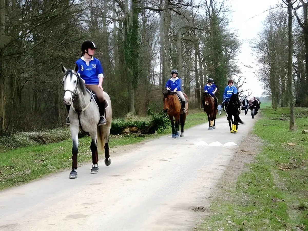 equitation-au-centre-equestre-le-robillard