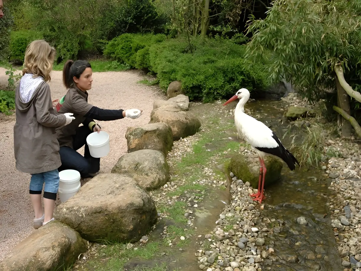 qui-mange-quoi-famille-cerza