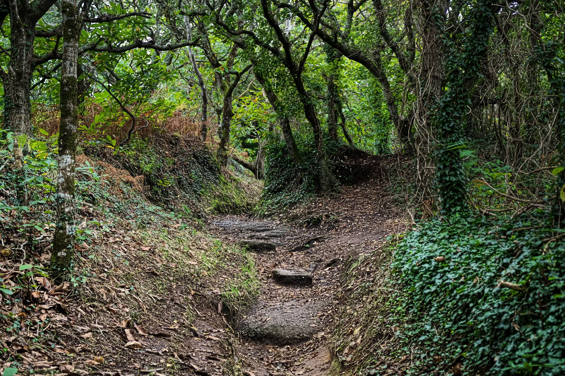 Vallée des Traouïero