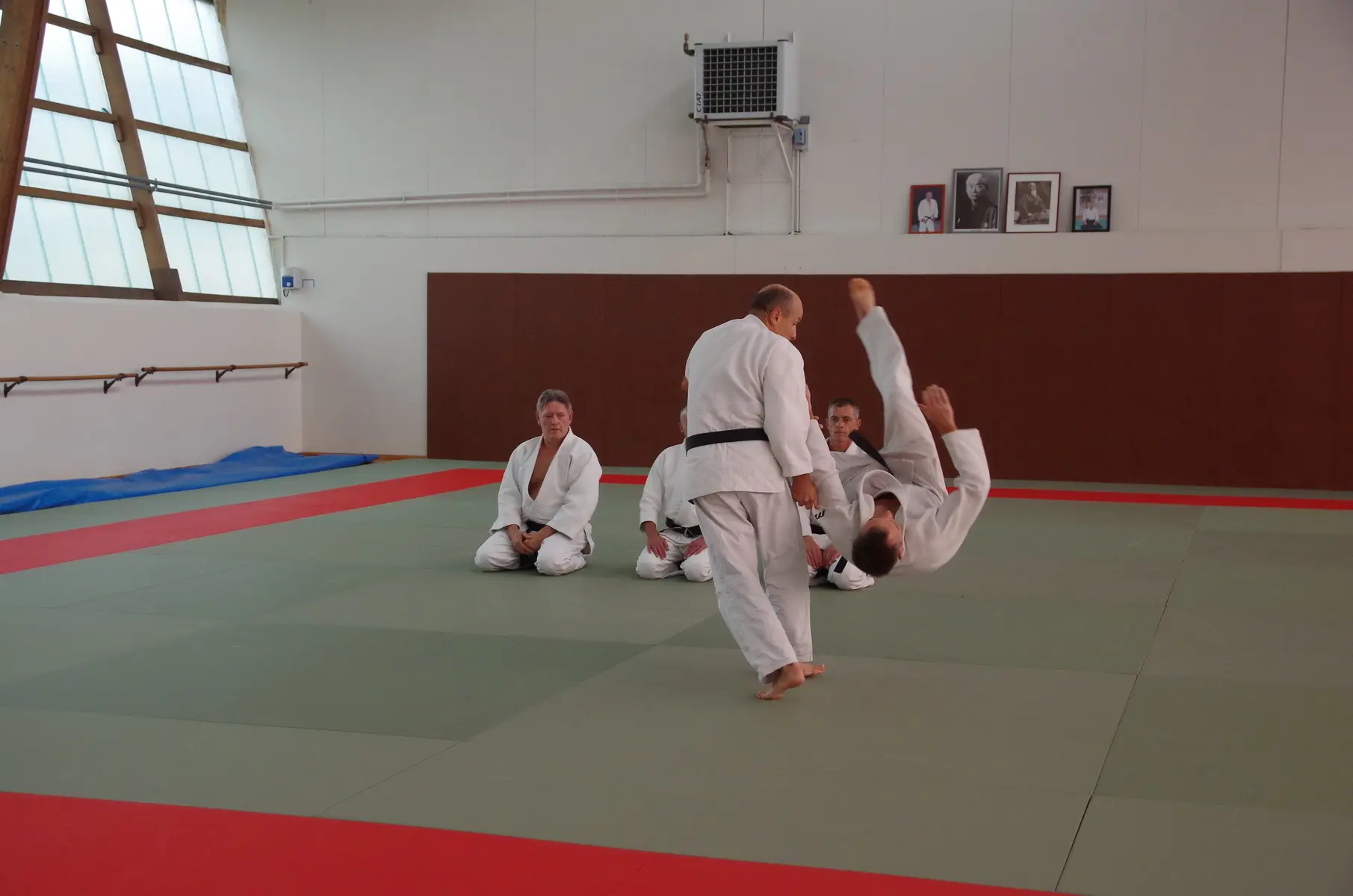 judo