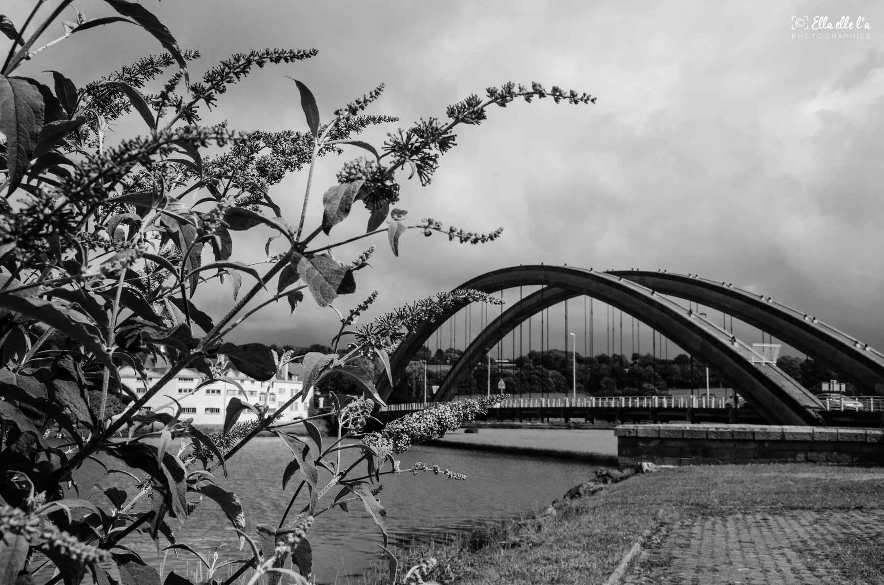 Pont Canada