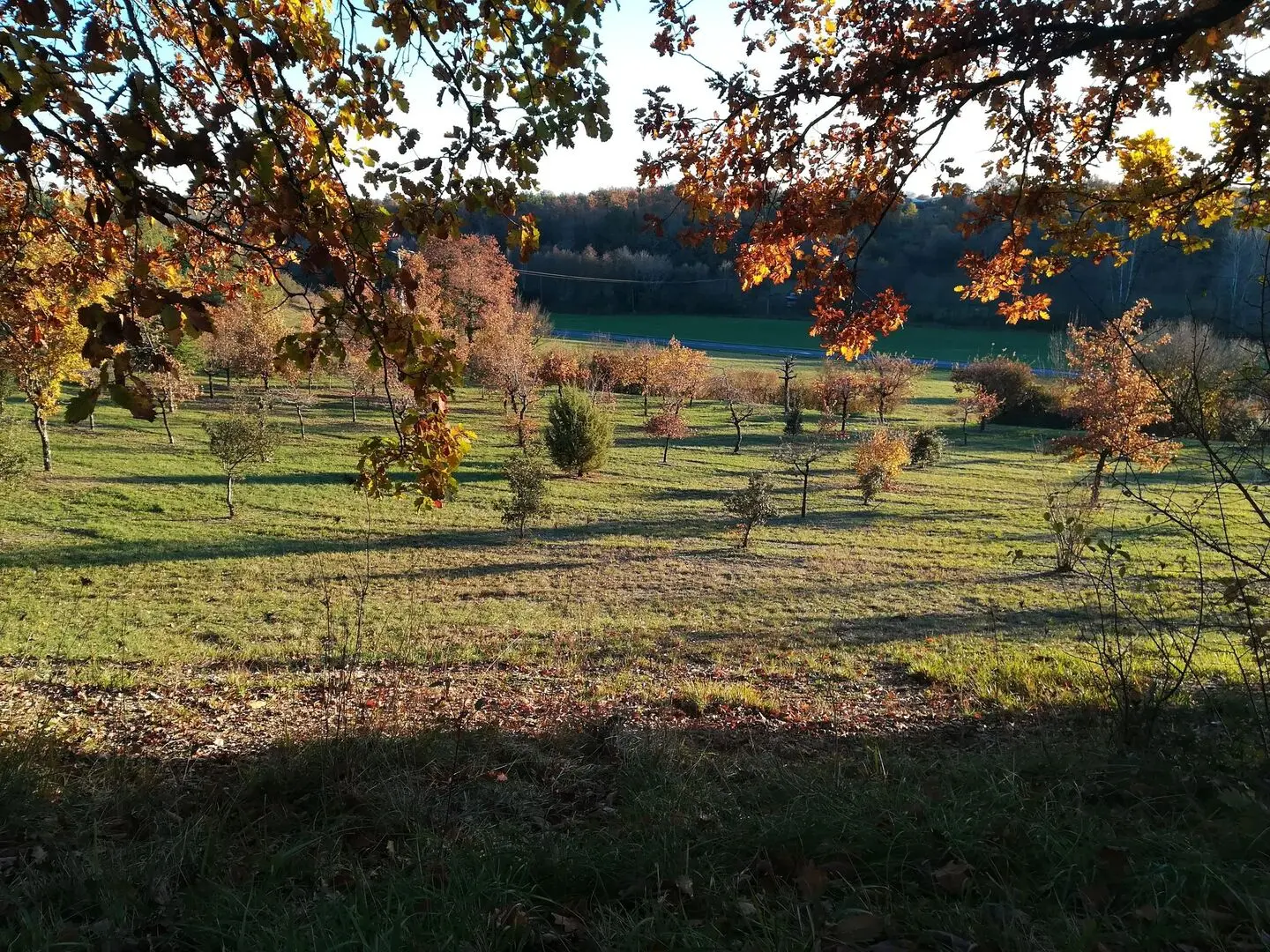 481053570 1468639197799572 7913190357922355629 n