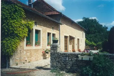 Vieux chêne