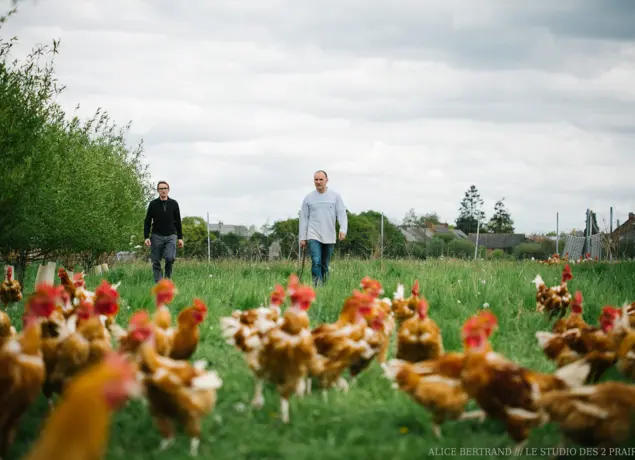 Aire camping-cars à la ferme - Mauron - Brocéliande - Morbihan - Bretagne