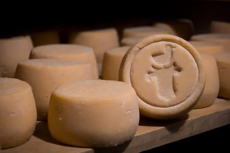 Ty Yann Fromagerie - Peumerit - Pays Bigouden