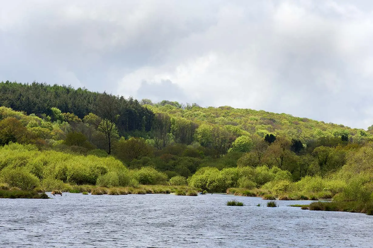 Etang du Guic