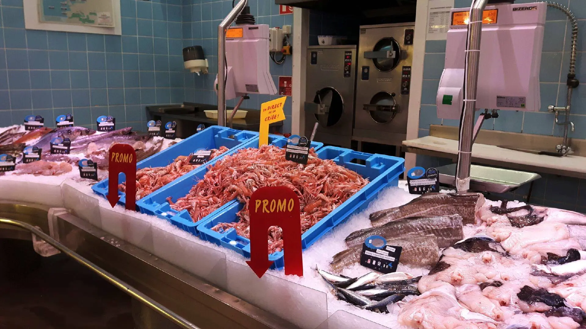 Poissonnerie du Leclerc Quai 29