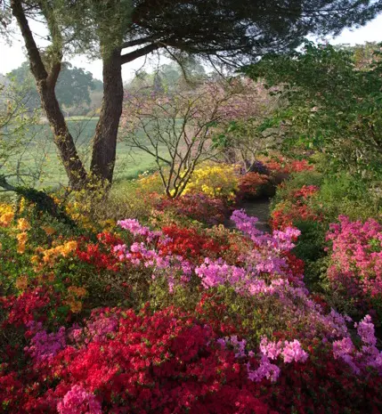 Parc de Boutiguery2