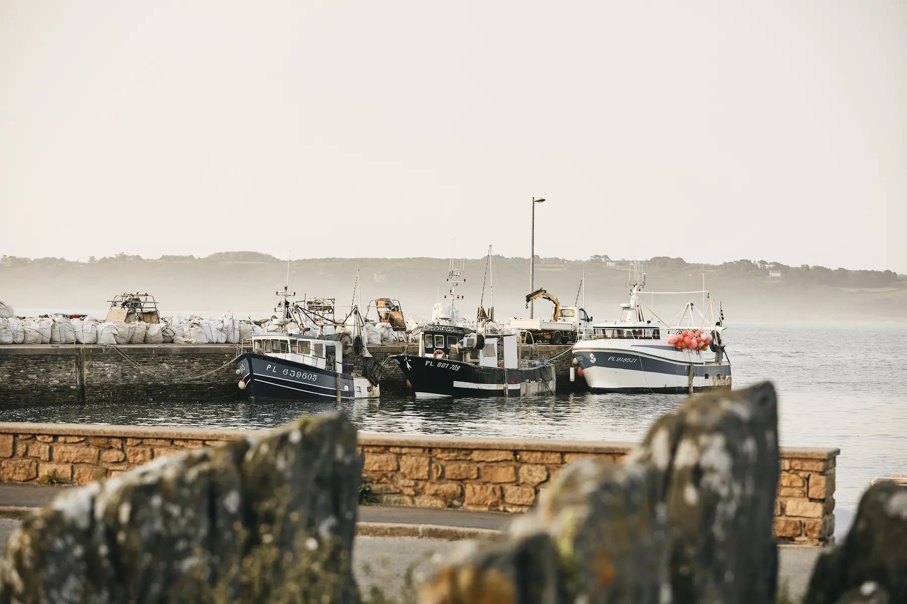 Port de Trédrez-Locquémeau