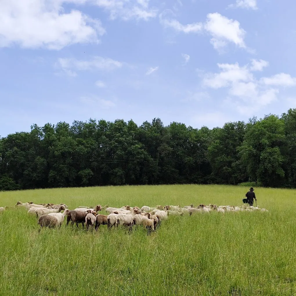 Ferme de Charmonteil Lisle