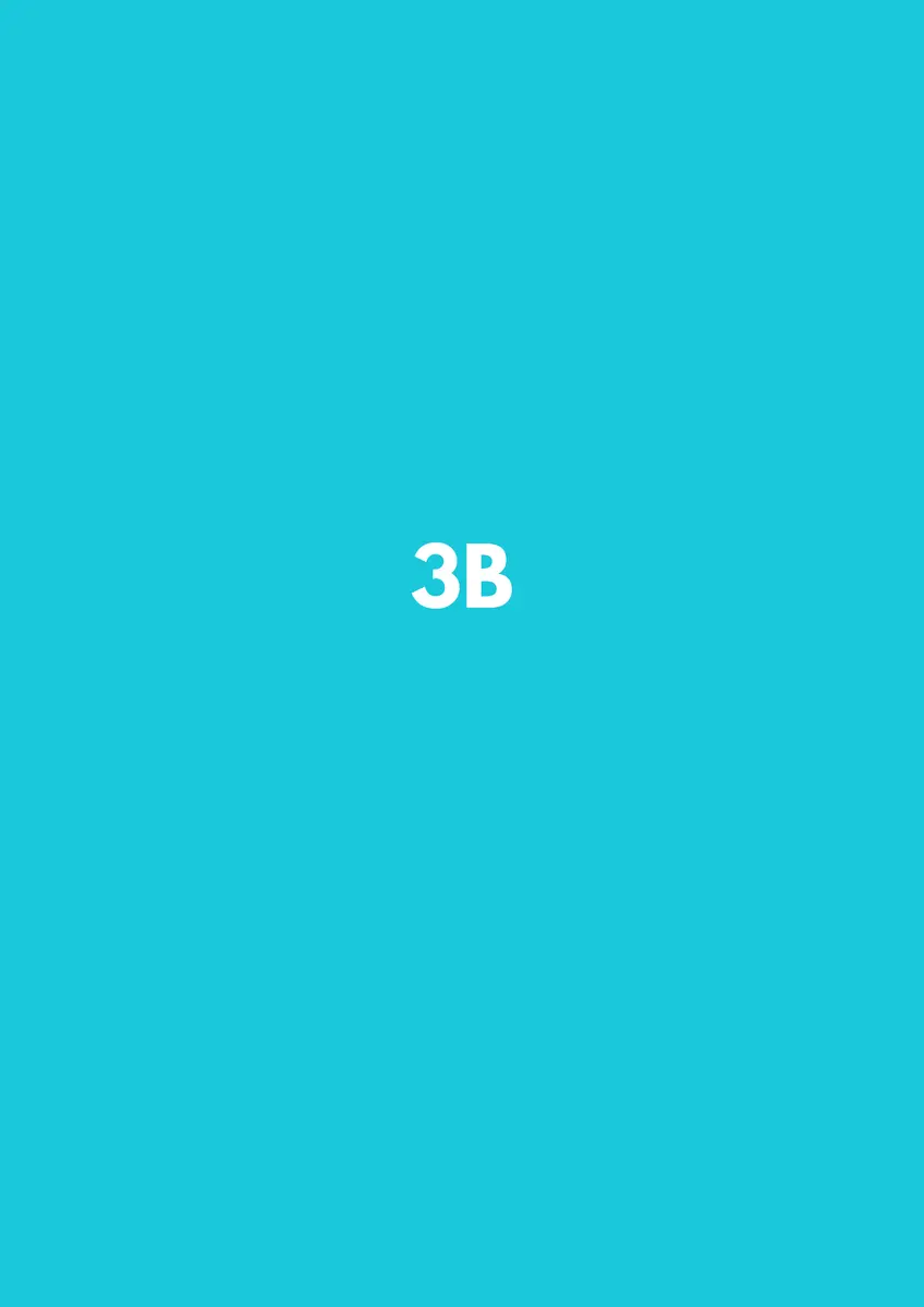 3B