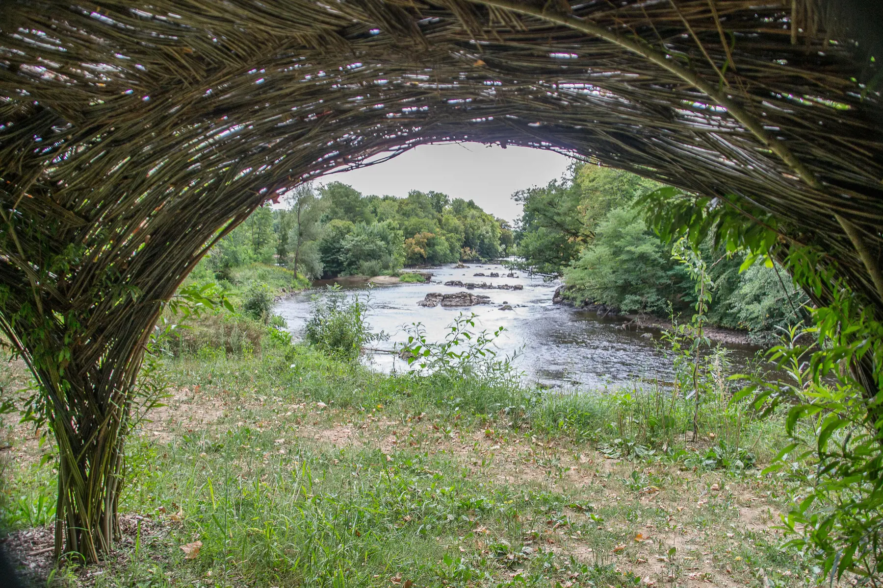 08082018-DSC_0656