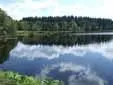 Tourbière de la route élevée_1