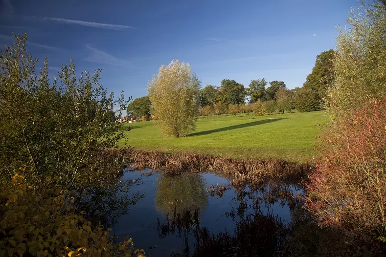 Parc des Essarts_1