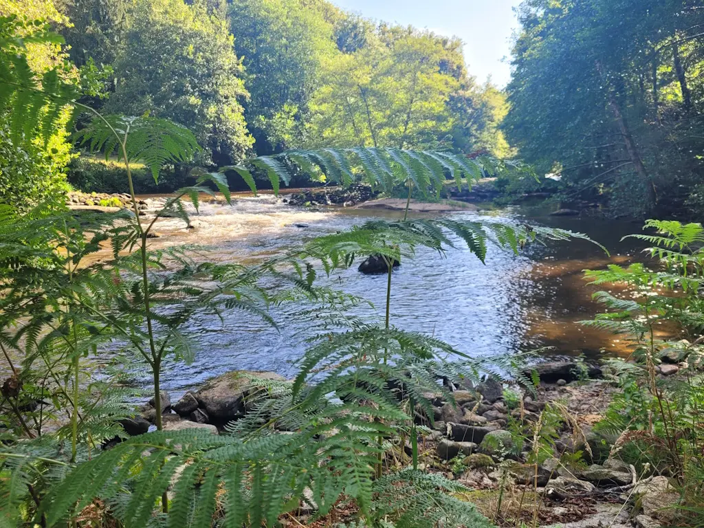 Balade nature