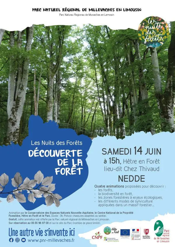 20250614_INT_NEDDE_Nuits des Forets_AnimationDiv_web
