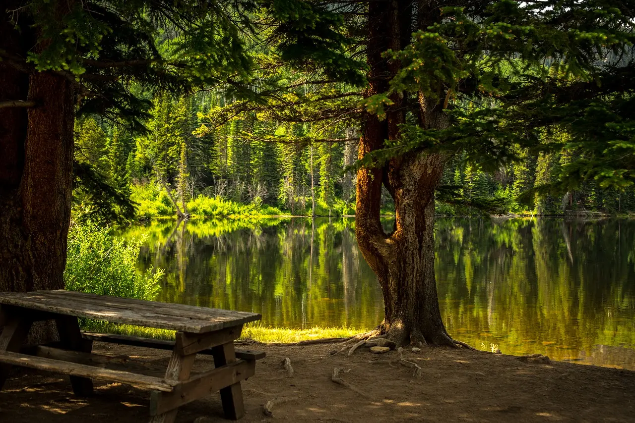 Aire de pique nique à Blanzac