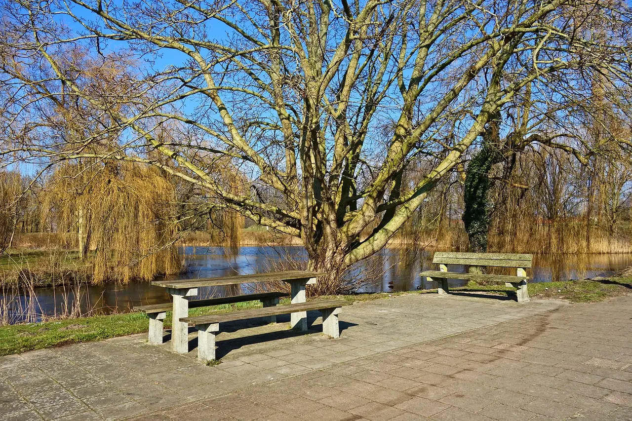 Aire de pique nique à Mézières-sur-Issoire
