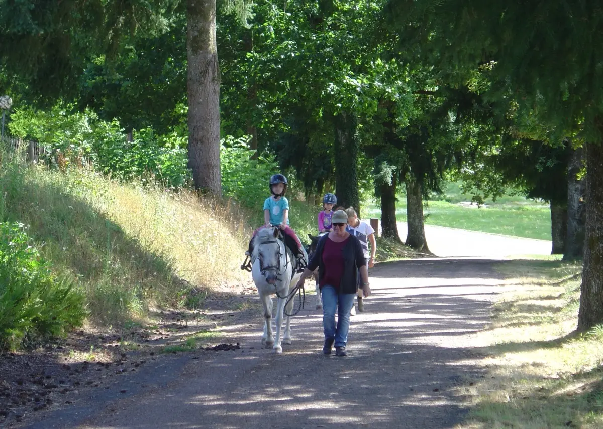 Ecurie des Forets_1