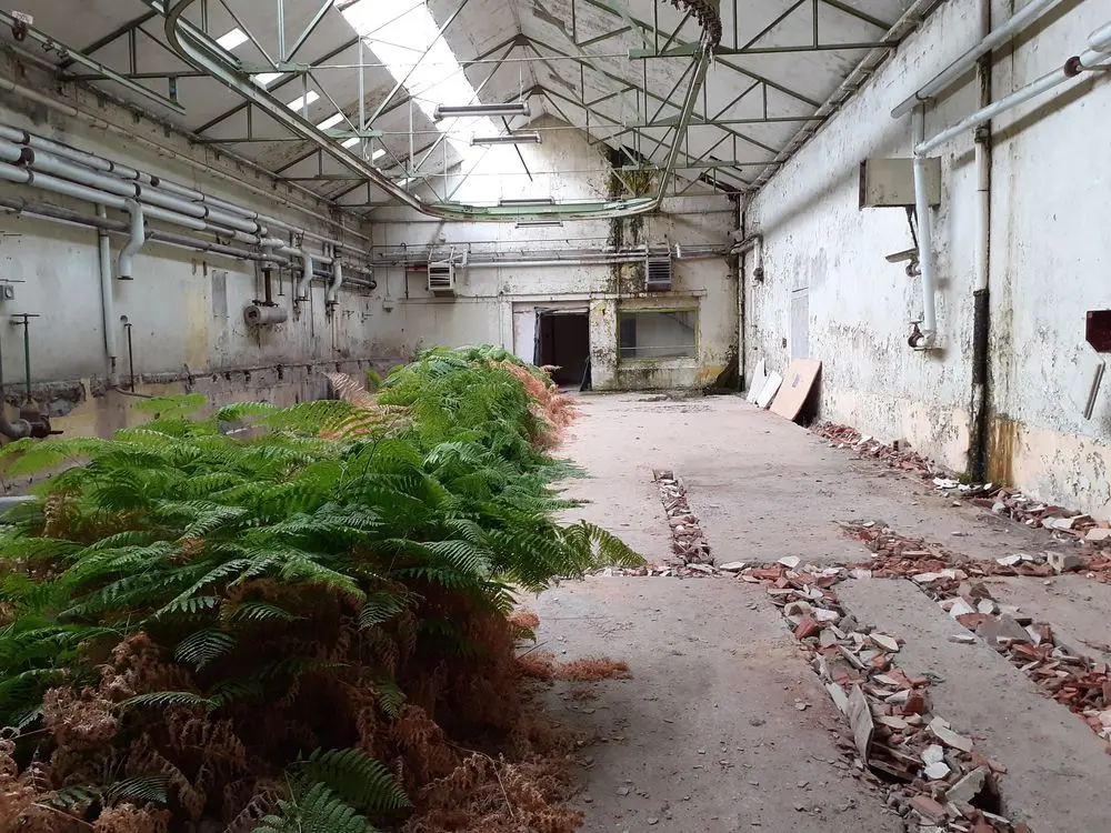 28 salle des teintures