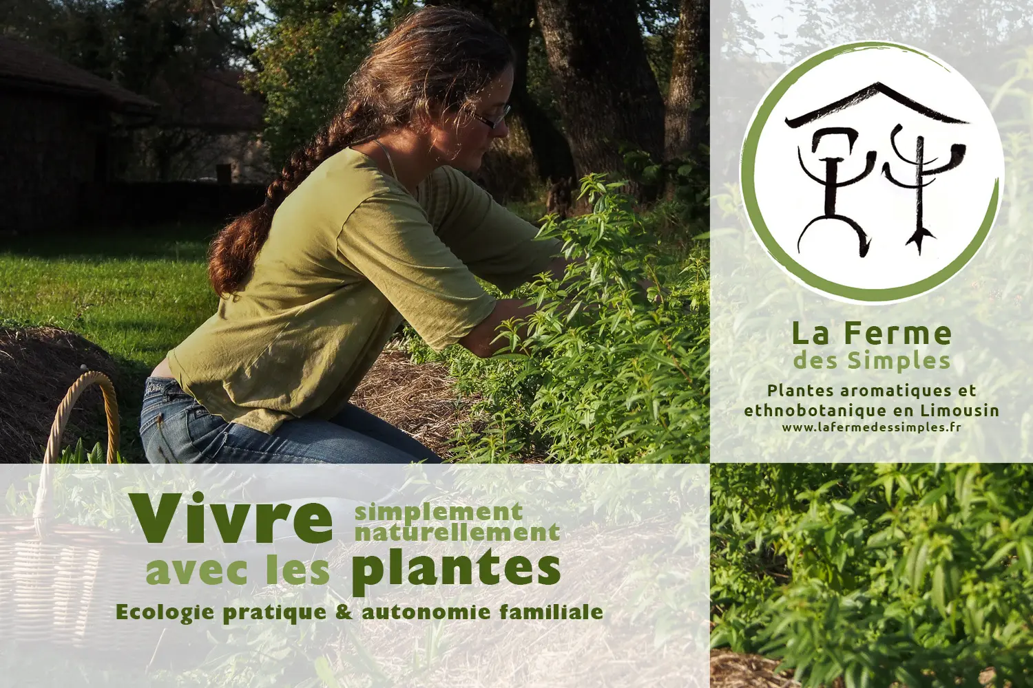 Stage Vivre avec les plantes