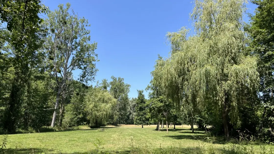 Arboretum