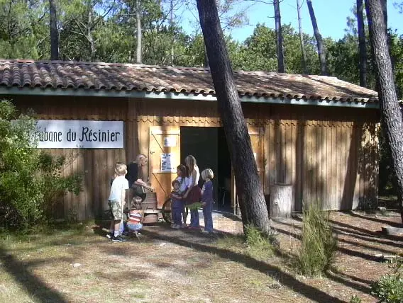 Cabane du Résinier