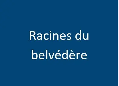 Racines du belvédère