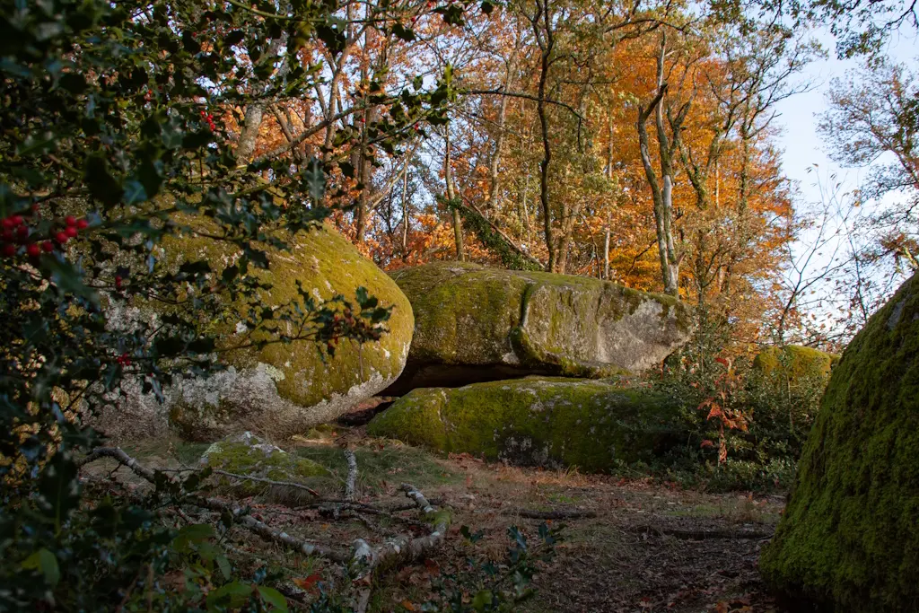 Rochers de Puychaud