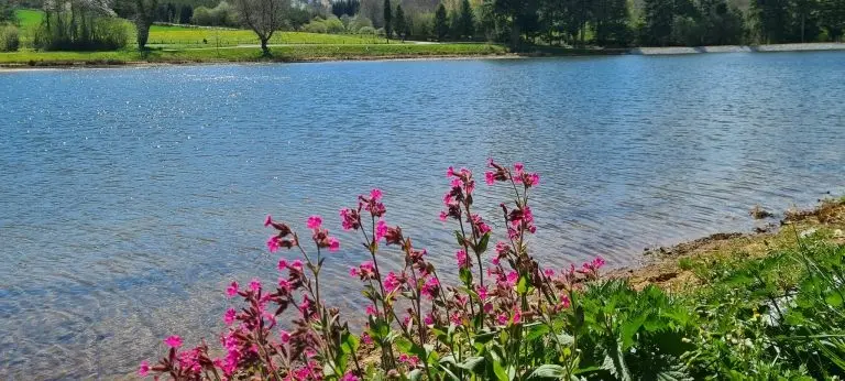 Etang de Riffataire