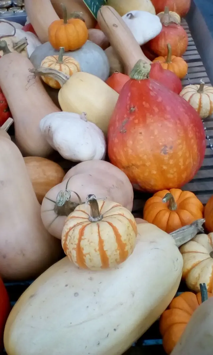 Ferme Dutheil-Becker ©Paula Dutheil-Becker