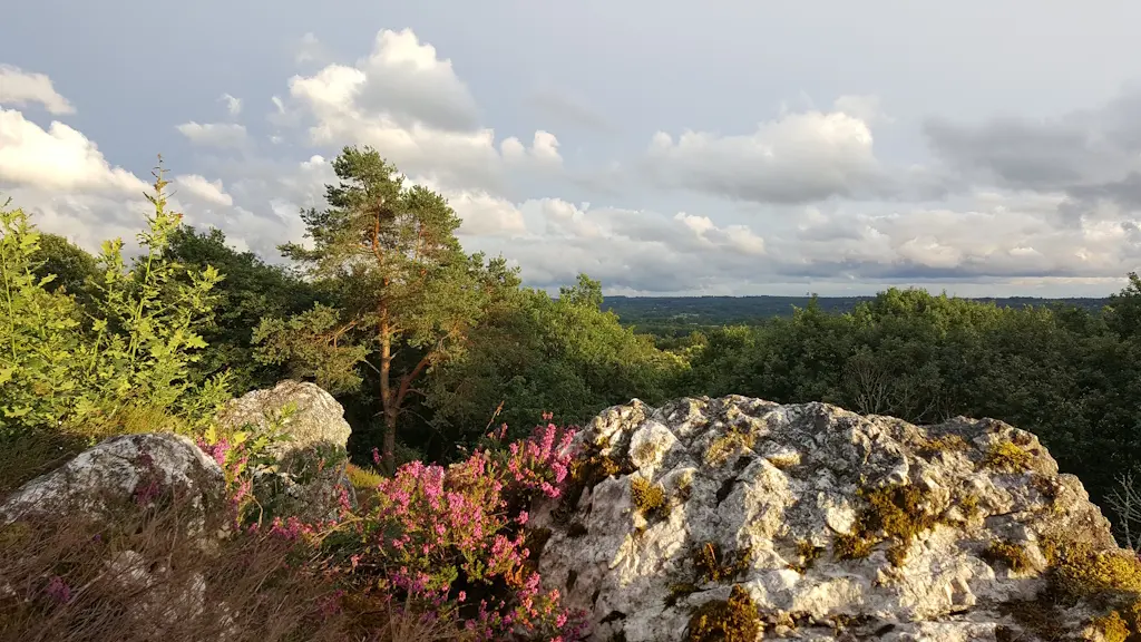 Frochet Paysage