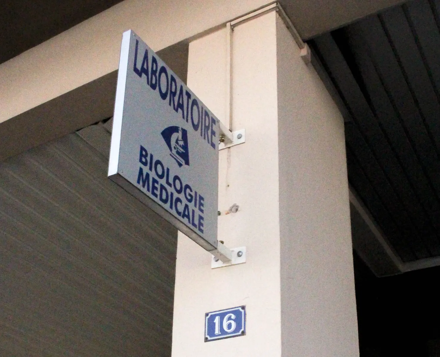 IMG-6456-2