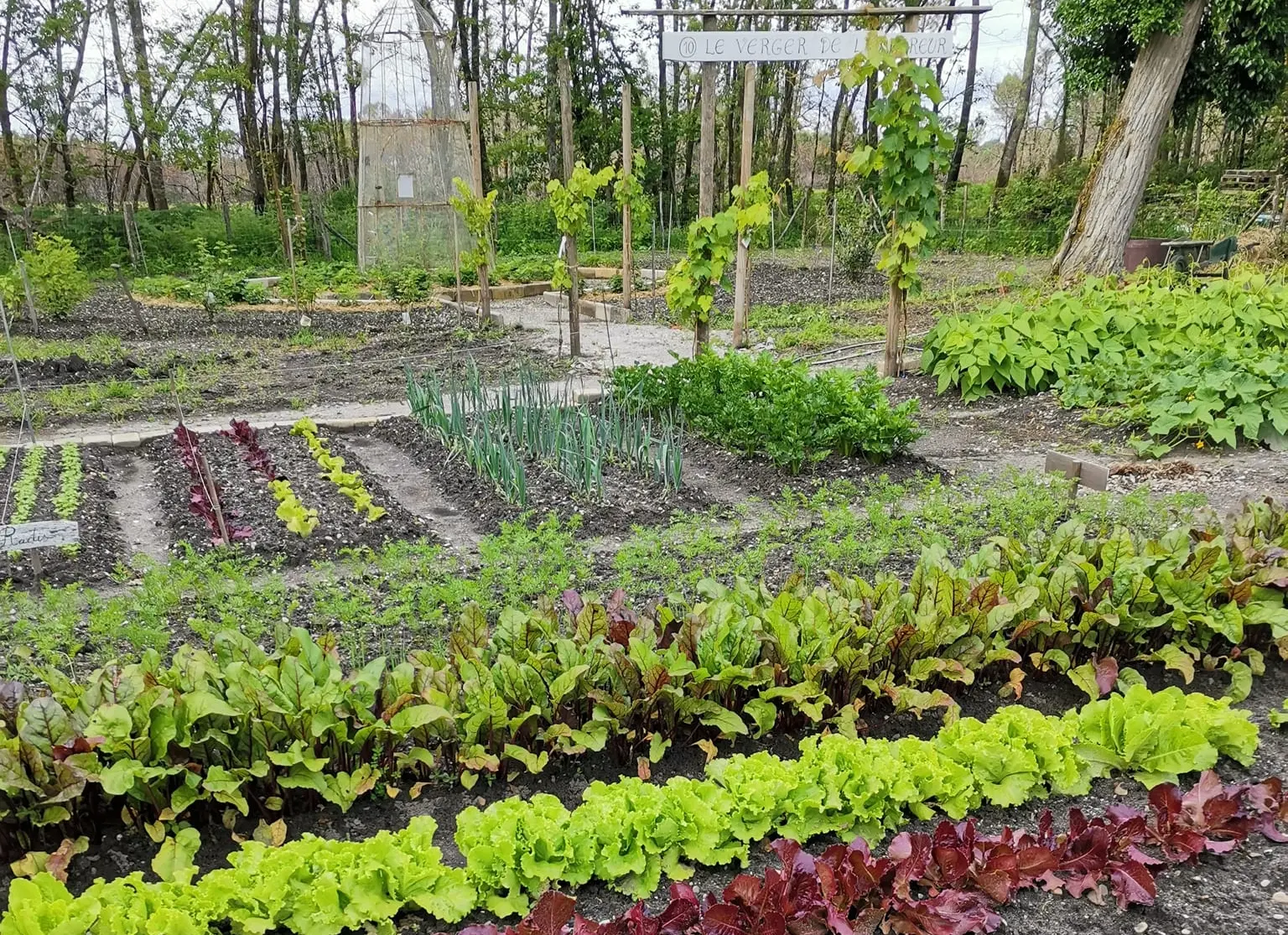 Jardins des sens