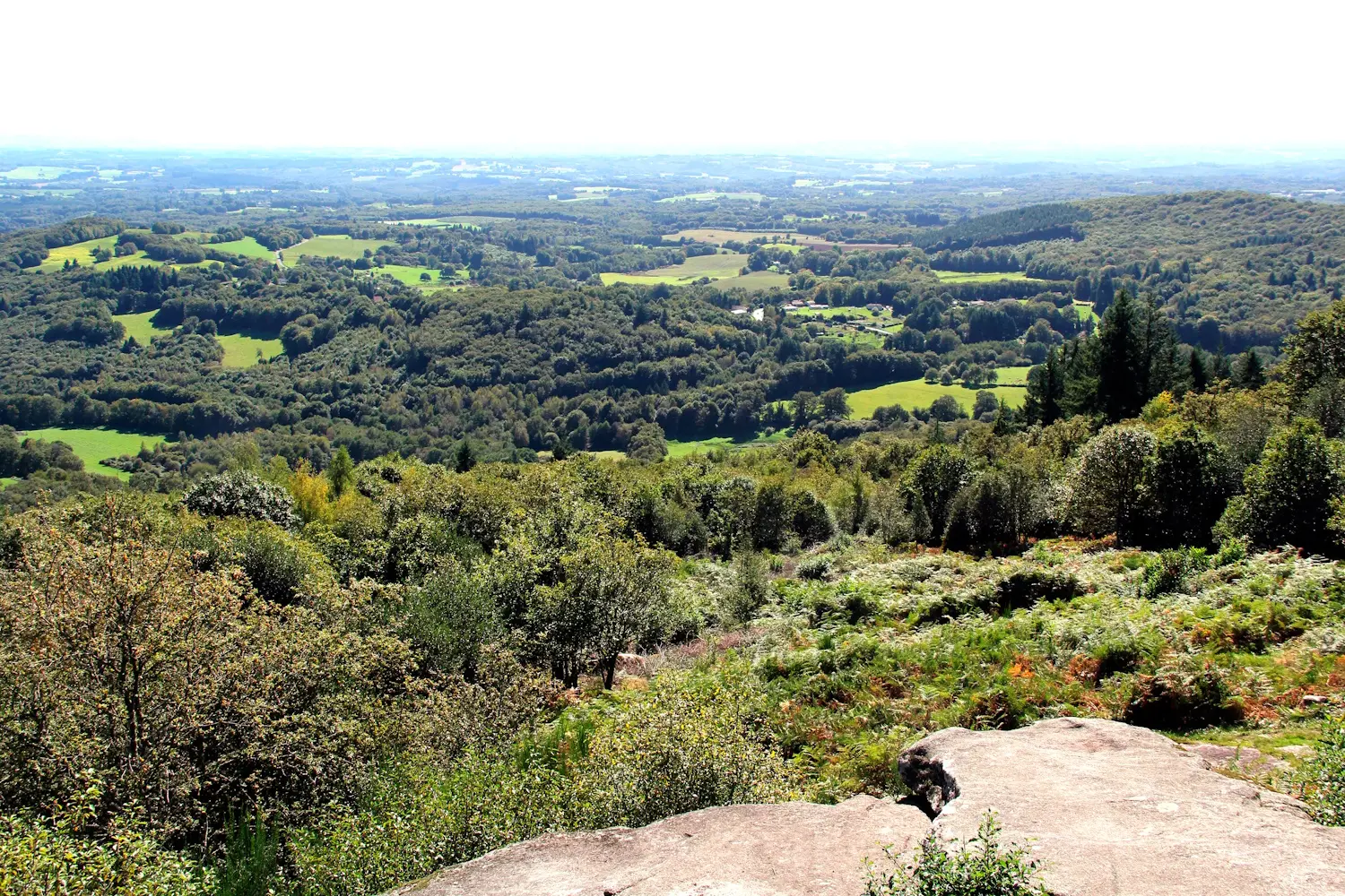 La montée de KAO
