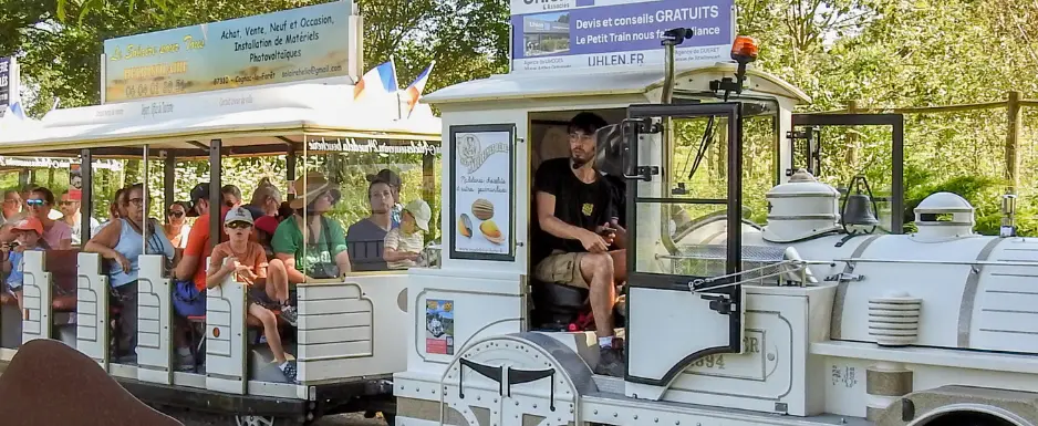 Safari-train-2