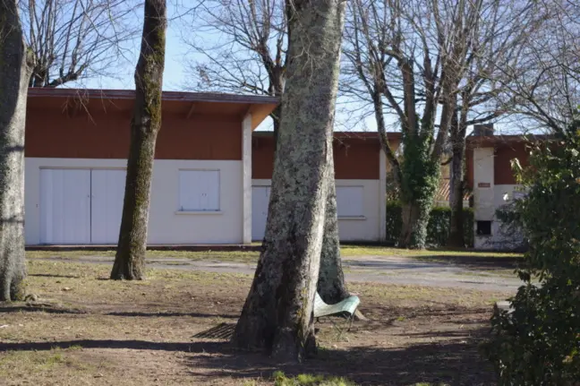 Village oiseaux