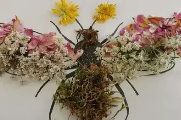 art et nature 2