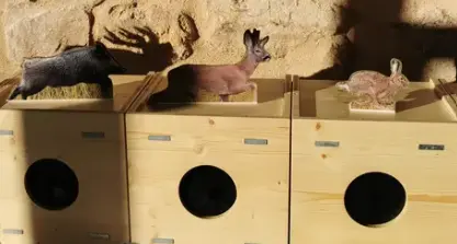 atelier maison de la nature animaux