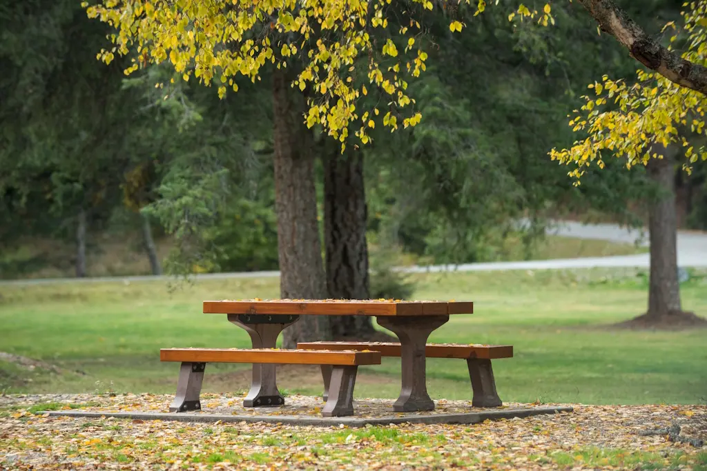 Table de pique nique