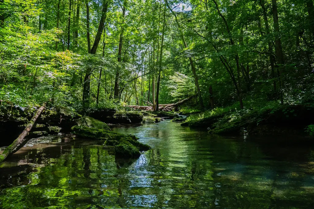 Sortie nature